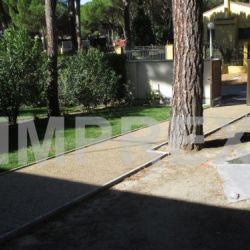 img 0186