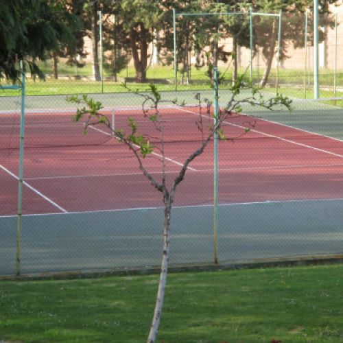 img 0408
