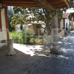 Molde Adoquín Espiga